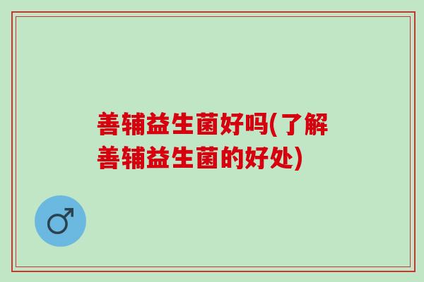 善辅益生菌好吗(了解善辅益生菌的好处)