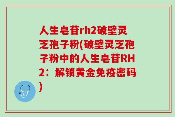 人生皂苷rh2破壁灵芝孢子粉(破壁灵芝孢子粉中的人生皂苷RH2：解锁黄金免疫密码)