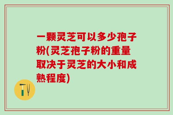 一颗灵芝可以多少孢子粉(灵芝孢子粉的重量取决于灵芝的大小和成熟程度)