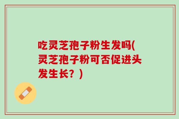吃灵芝孢子粉生发吗(灵芝孢子粉可否促进头发生长？)