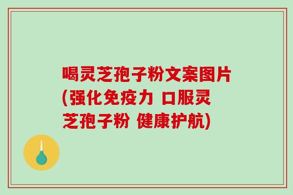 喝灵芝孢子粉文案图片(强化免疫力 口服灵芝孢子粉 健康护航)