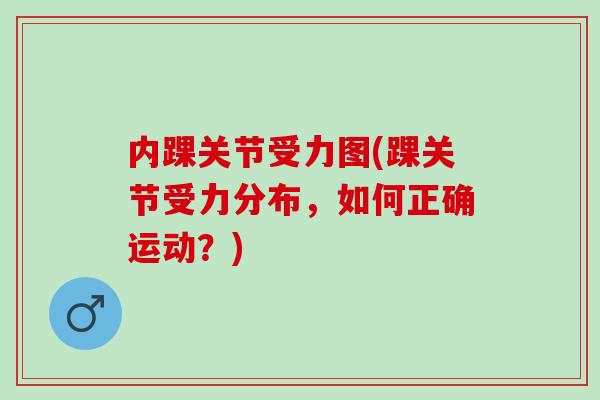 内踝关节受力图(踝关节受力分布，如何正确运动？)