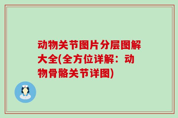 动物关节图片分层图解大全(全方位详解：动物骨骼关节详图)