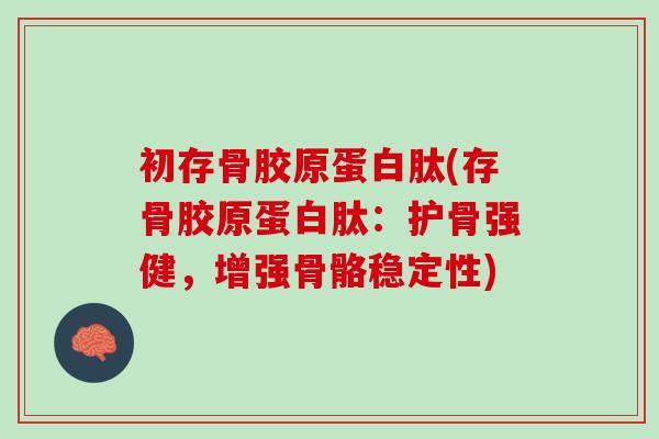 初存骨胶原蛋白肽(存骨胶原蛋白肽：护骨强健，增强骨骼稳定性)