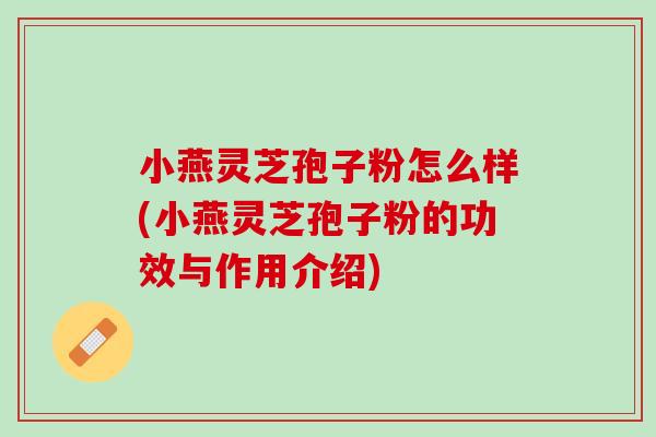 小燕灵芝孢子粉怎么样(小燕灵芝孢子粉的功效与作用介绍)