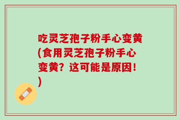 吃灵芝孢子粉手心变黄(食用灵芝孢子粉手心变黄？这可能是原因！)