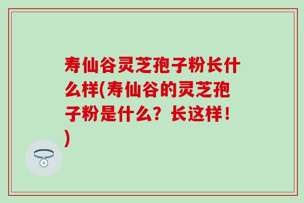 寿仙谷灵芝孢子粉长什么样(寿仙谷的灵芝孢子粉是什么？长这样！)