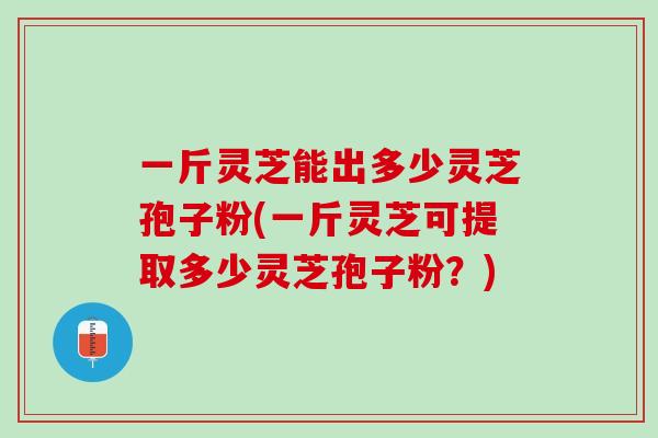 一斤灵芝能出多少灵芝孢子粉(一斤灵芝可提取多少灵芝孢子粉?) 一斤灵芝能出多少灵芝孢子粉(一斤灵芝可提取多少灵芝孢子粉?)