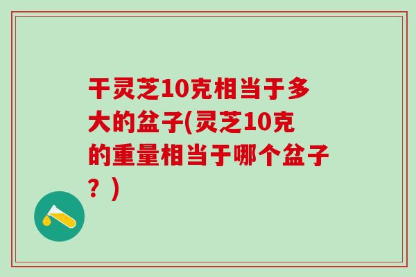 干灵芝10克相当于多大的盆子(灵芝10克的重量相当于哪个盆子？)