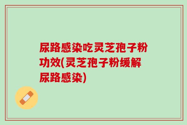 尿路感染吃灵芝孢子粉功效(灵芝孢子粉缓解尿路感染)