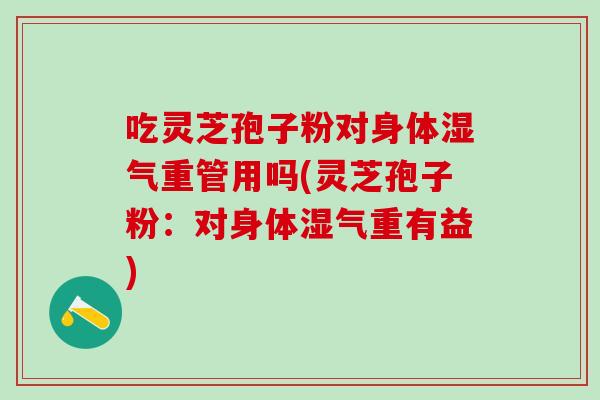 吃灵芝孢子粉对身体湿气重管用吗(灵芝孢子粉：对身体湿气重有益)
