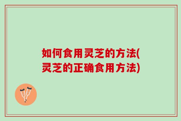如何食用灵芝的方法(灵芝的正确食用方法)