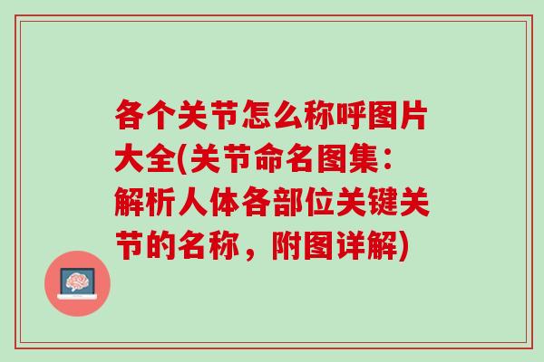 各个关节怎么称呼图片大全(关节命名图集：解析人体各部位关键关节的名称，附图详解)