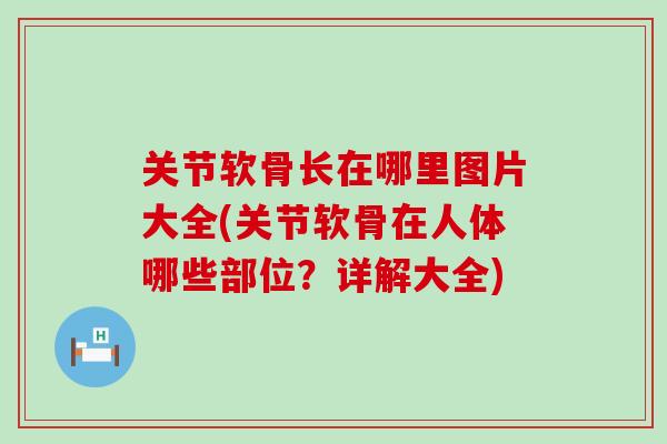 关节软骨长在哪里图片大全(关节软骨在人体哪些部位？详解大全)