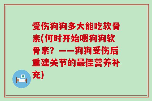 受伤狗狗多大能吃软骨素(何时开始喂狗狗软骨素？——狗狗受伤后重建关节的最佳营养补充)