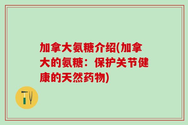 加拿大氨糖介绍(加拿大的氨糖：保护关节健康的天然药物)