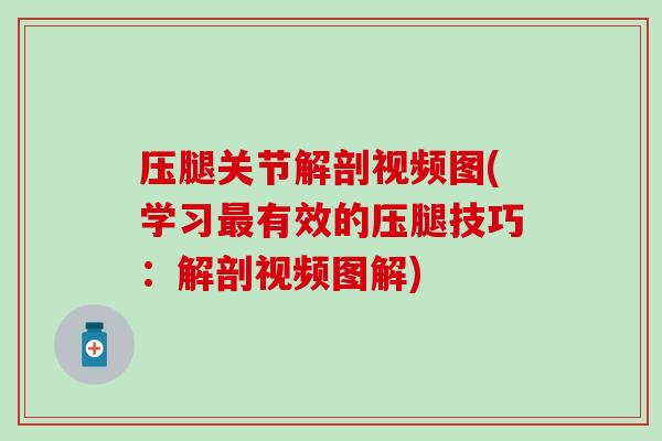 压腿关节解剖视频图(学习最有效的压腿技巧：解剖视频图解)