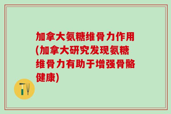 加拿大氨糖维骨力作用(加拿大研究发现氨糖维骨力有助于增强骨骼健康)