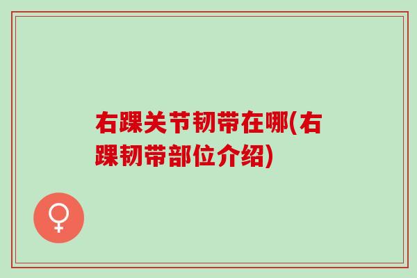 右踝关节韧带在哪(右踝韧带部位介绍)
