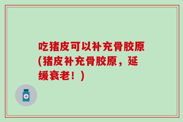 吃猪皮可以补充骨胶原(猪皮补充骨胶原，延缓衰老！)