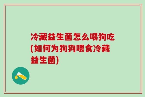 冷藏益生菌怎么喂狗吃(如何为狗狗喂食冷藏益生菌)