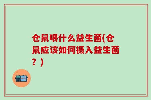 仓鼠喂什么益生菌(仓鼠应该如何摄入益生菌？)