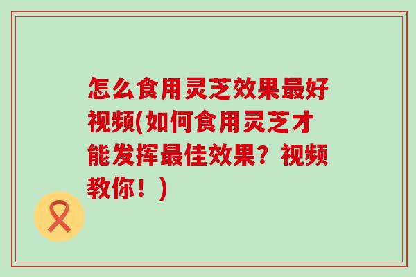 怎么食用灵芝效果最好视频(如何食用灵芝才能发挥最佳效果？视频教你！)