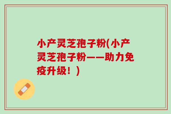 小产灵芝孢子粉(小产灵芝孢子粉——助力免疫升级!) 小产灵芝孢子粉(小产灵芝孢子粉——助力免疫升级!)