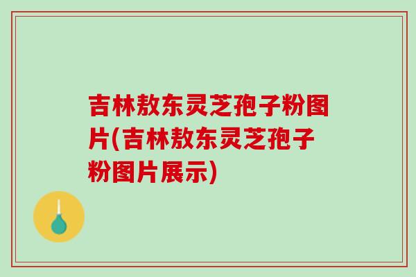 吉林敖东灵芝孢子粉图片(吉林敖东灵芝孢子粉图片展示)
