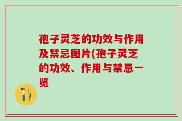 孢子灵芝的功效与作用及禁忌图片(孢子灵芝的功效、作用与禁忌一览