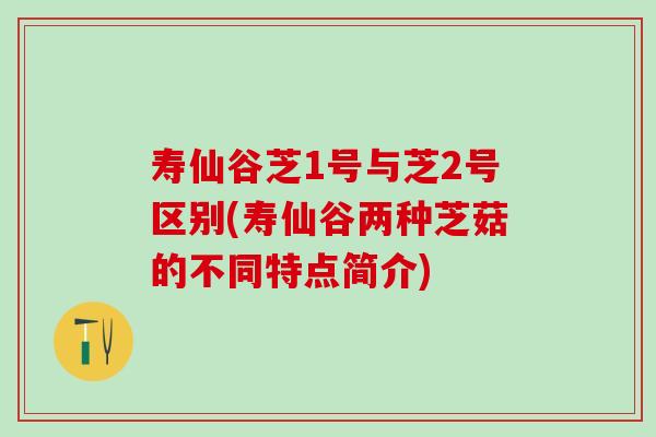 寿仙谷芝1号与芝2号区别(寿仙谷两种芝菇的不同特点简介)