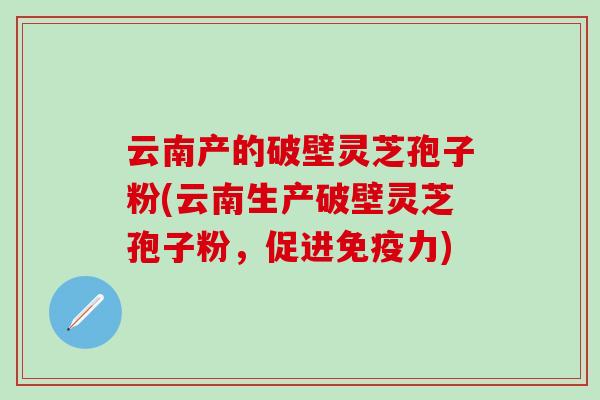 云南产的破壁灵芝孢子粉(云南生产破壁灵芝孢子粉，促进免疫力)