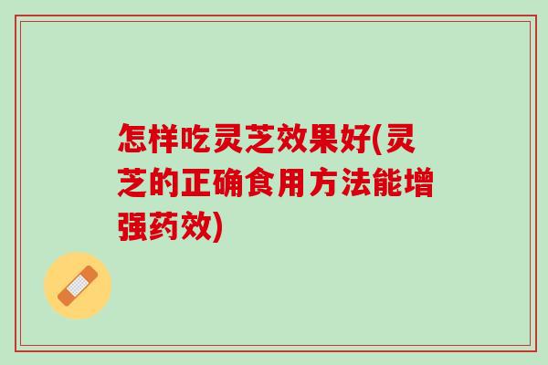 怎样吃灵芝效果好(灵芝的正确食用方法能增强药效)