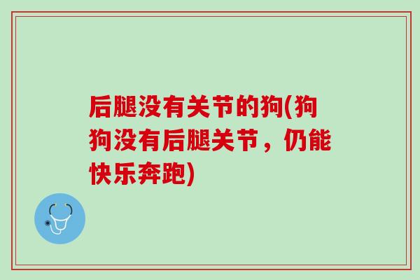 后腿没有关节的狗(狗狗没有后腿关节，仍能快乐奔跑)