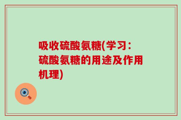 吸收硫酸氨糖(学习：硫酸氨糖的用途及作用机理)