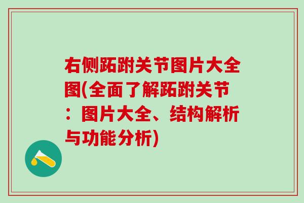 右侧跖跗关节图片大全图(全面了解跖跗关节：图片大全、结构解析与功能分析)
