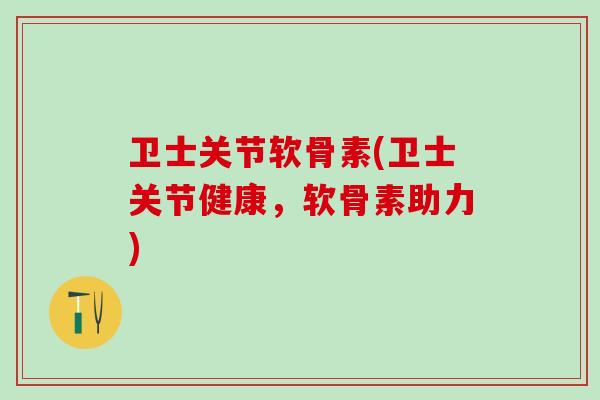 卫士关节软骨素(卫士关节健康，软骨素助力)