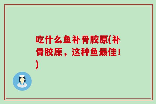 吃什么鱼补骨胶原(补骨胶原，这种鱼最佳！)