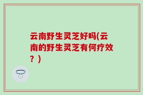 云南野生灵芝好吗(云南的野生灵芝有何疗效？)