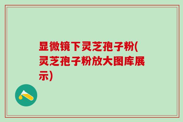 显微镜下灵芝孢子粉(灵芝孢子粉放大图库展示)