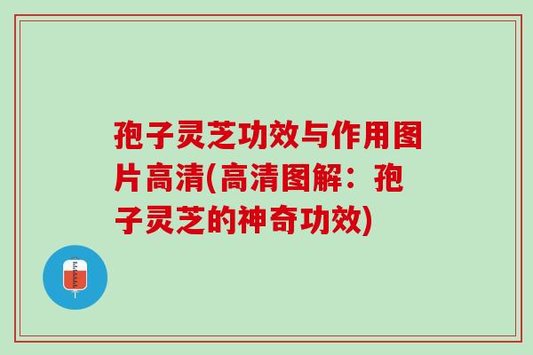 孢子灵芝功效与作用图片高清(高清图解：孢子灵芝的神奇功效)