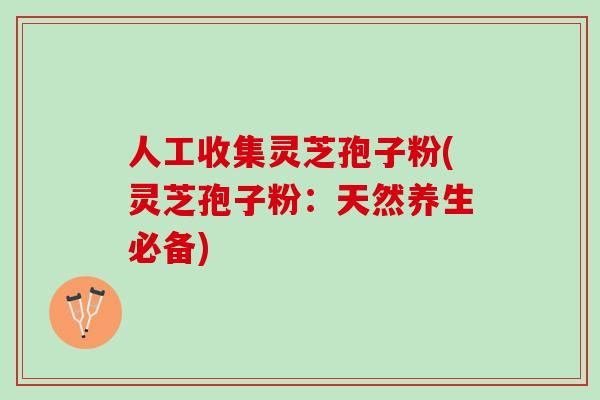 人工收集灵芝孢子粉(灵芝孢子粉：天然养生必备)