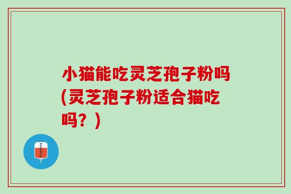 小猫能吃灵芝孢子粉吗(灵芝孢子粉适合猫吃吗？)