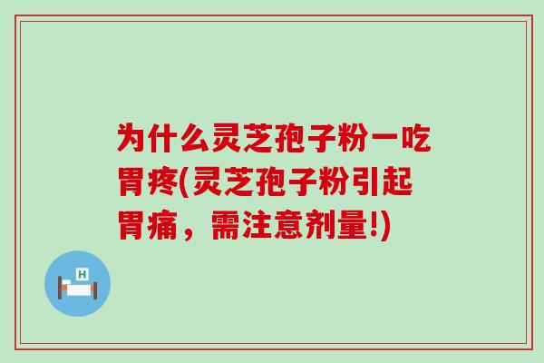 为什么灵芝孢子粉一吃胃疼(灵芝孢子粉引起胃痛,需注意剂量!) 为什么灵芝孢子粉一吃胃疼(灵芝孢子粉引起胃痛,需注意剂量!)