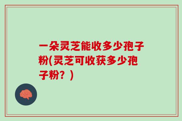 一朵灵芝能收多少孢子粉(灵芝可收获多少孢子粉？)