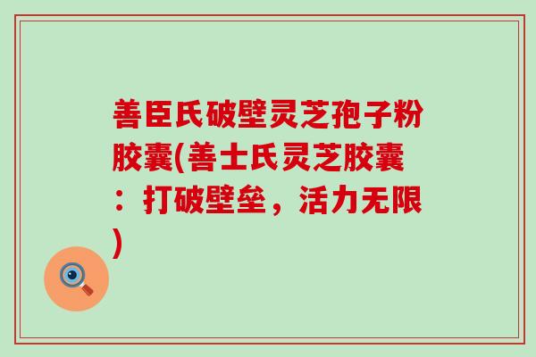 善臣氏破壁灵芝孢子粉胶囊(善士氏灵芝胶囊：打破壁垒，活力无限)