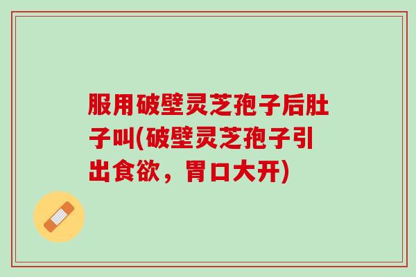 服用破壁灵芝孢子后肚子叫(破壁灵芝孢子引出食欲，胃口大开)