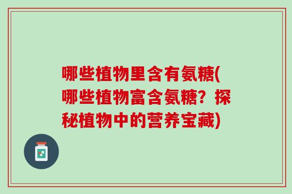 哪些植物里含有氨糖(哪些植物富含氨糖？探秘植物中的营养宝藏)
