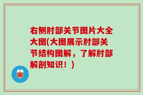 右侧肘部关节图片大全大图(大图展示肘部关节结构图解，了解肘部解剖知识！)