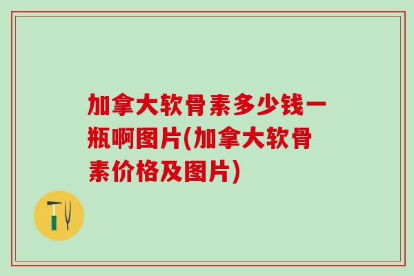 加拿大软骨素多少钱一瓶啊图片(加拿大软骨素价格及图片)